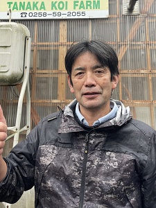Tanaka Koi Farm (Hoshino)