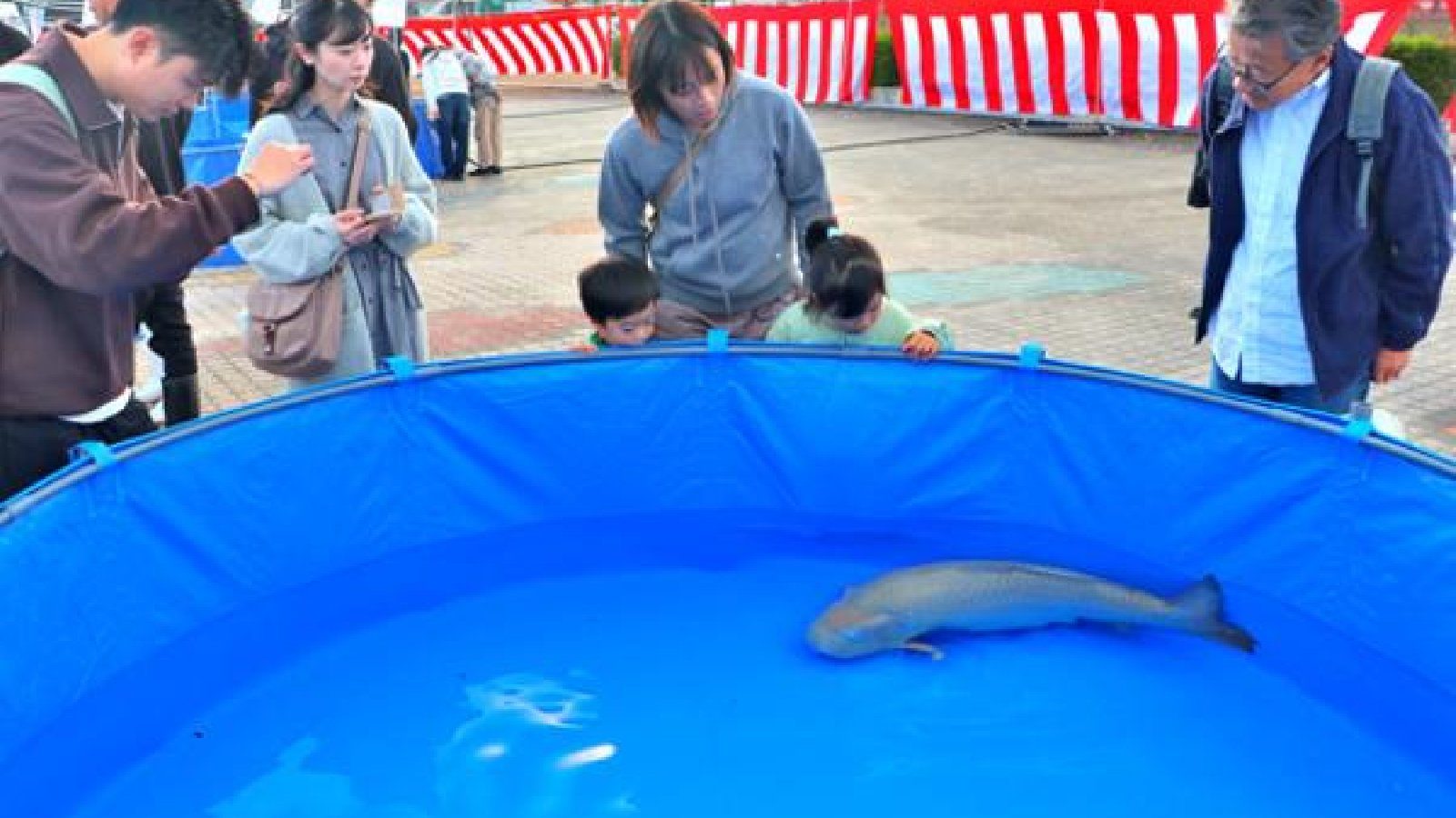 45th Uonuma Koi Show