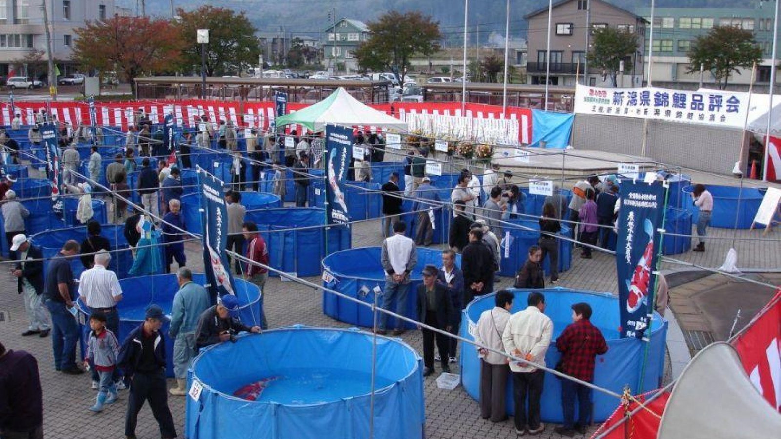 66th Niigata Prefecture Nishikigoi Show